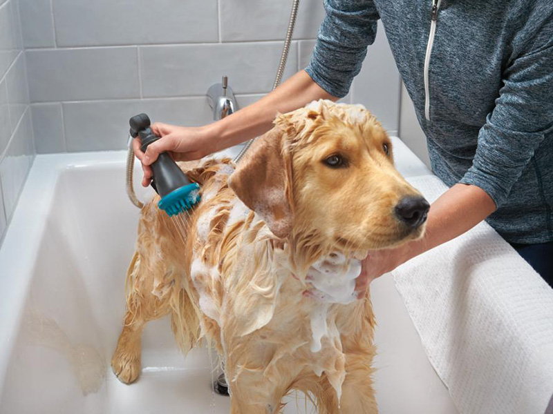 SideKick® Shower System